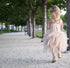 Little Princess Feathers And Ruffles Dress Dresses Little Palace Store